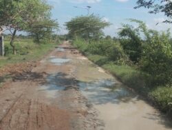 Kerusakan Jalan di Sumberagung Modo, Kian Meluas