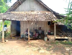 Disuruh Ambil Kayu , Somasu (69) Warga Grabakan ,  Dilaporkan Oknum Aparat Perhutani Ke Polisi