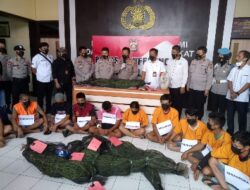 Tanam Ganja di Sela-sela Kebun Cabai, Seorang Pria Diamankan Polres Lahat