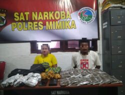 Bawa Ganja, Sepasang Suami Istri di Ringkus Sat Narkoba Polres Mimika