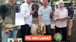 IMG 20260521 WA0028