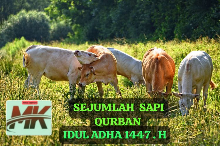 IMG 20260530 WA0044