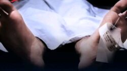 Terduga Pencuri Ayam di Bali Tewas Dimassa, KemenHAM Dorong Proses Hukum