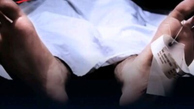 Terduga Pencuri Ayam di Bali Tewas Dimassa, KemenHAM Dorong Proses Hukum