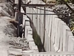 Proyek U-Ditch Desa Bakung Kanor Diduga Asal Pasang dan Tidak Sesuai Dengan Spesifikasi