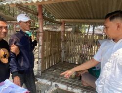 Jalinan Asmara di Tuban Berujung di tangkap Polisi
