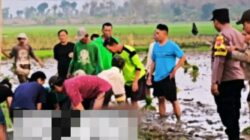 Tewas di Duga Tersengat Jebakan Tikus Beraliran Listrik