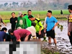 Tewas di Duga Tersengat Jebakan Tikus Beraliran Listrik